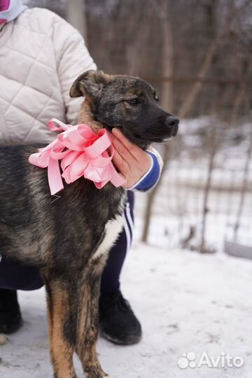 Тигра девочка бесплатно