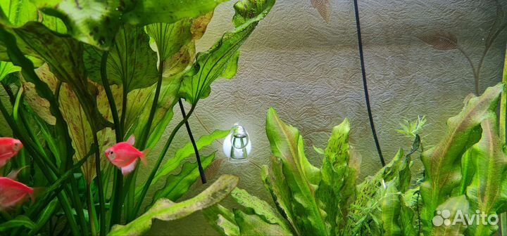 Аквариум под ключ(1100дх400шх510в)