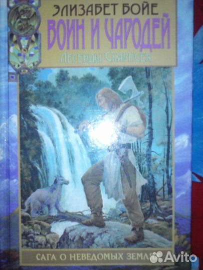 Книга Элизабет Бойе 