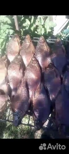 Лещ натурального горячего копчения с черной смород