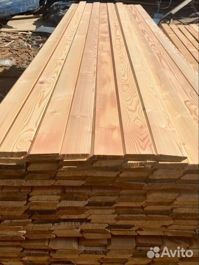 Планкен лиственница