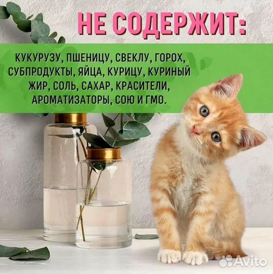 Корм д/котят Grandorf Kitten ягненок и индейка,2кг