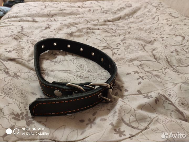Ошейник и поводок для собаки