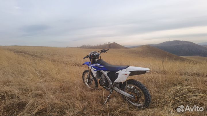 Yamaha wr450f