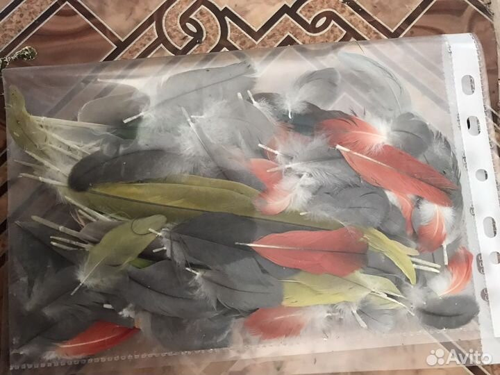 Перья от попугаев для поделок