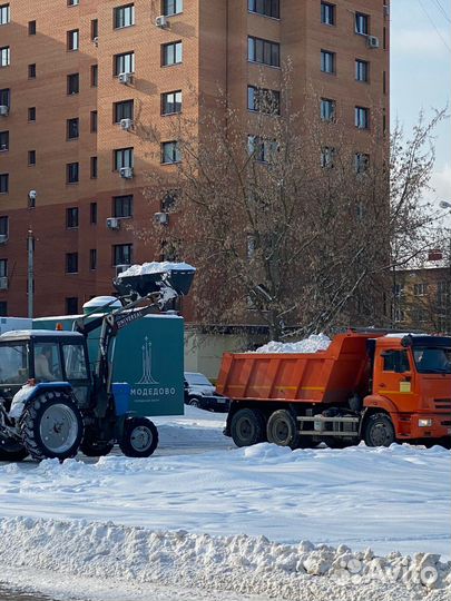 Трактор мтз 82 аренда