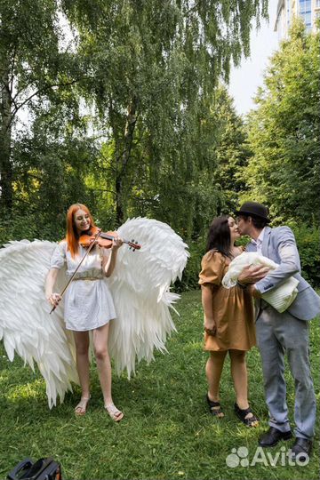 Скрипка на любой праздник