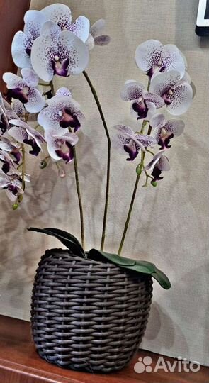 Горшки из ротанга