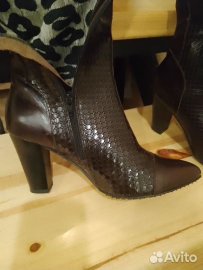 Сапоги осень весна женские