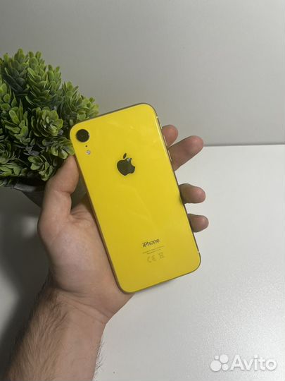 iPhone Xr, 64 ГБ