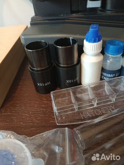 Микроскоп levenhuk бинокулярный