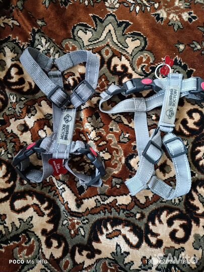 Шлейка для собаки