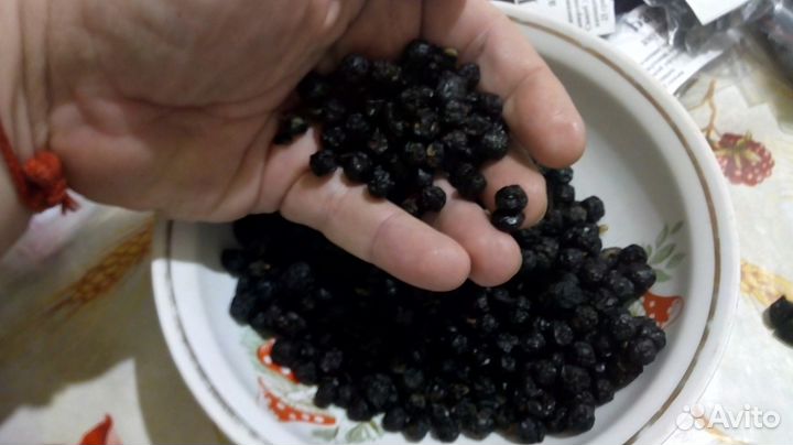 Бархата амурского ягоды