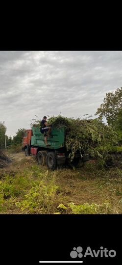 Вывоз мусора
