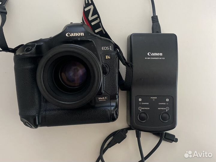 Canon 1ds mark 2 + tamron sp 90 2.8 macro