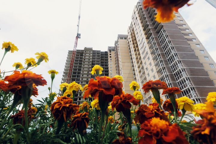 1-к. квартира, 41,2 м², 12/22 эт.