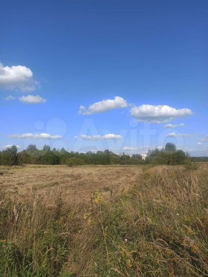 Участок 1,7 га (СНТ, ДНП)