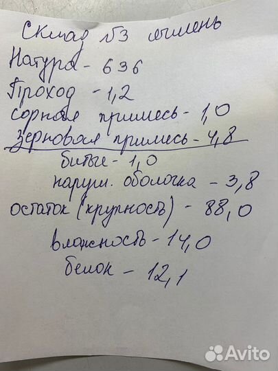 Зерно ячмень