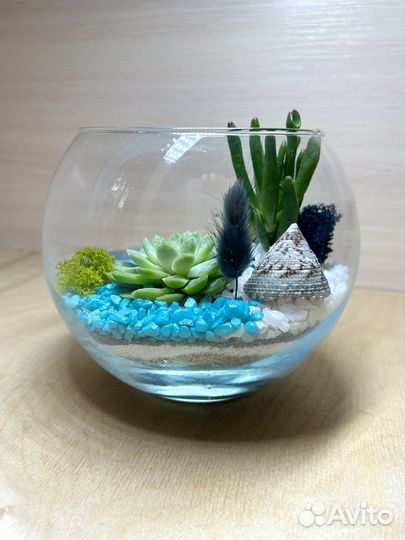 Флорариум с суккулентами - дизайн, интерьер