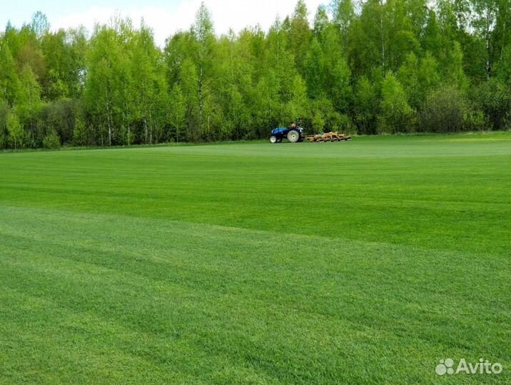 Рулонный газон 