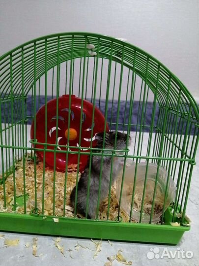 Клетка для грызунов