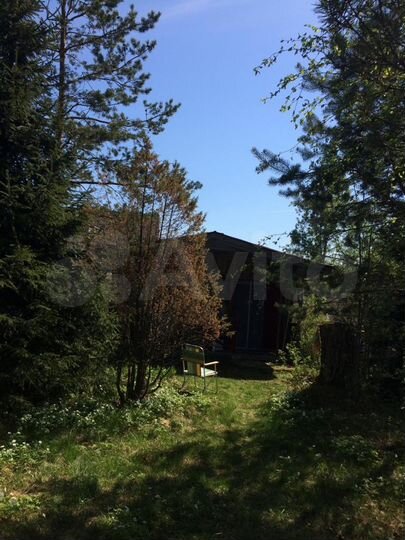 Участок 16 сот. (СНТ, ДНП)