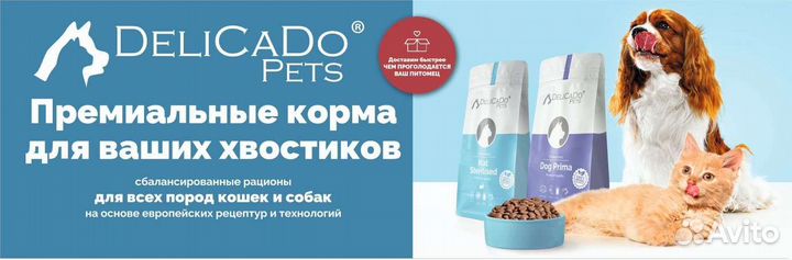 Корм для собак и кошек