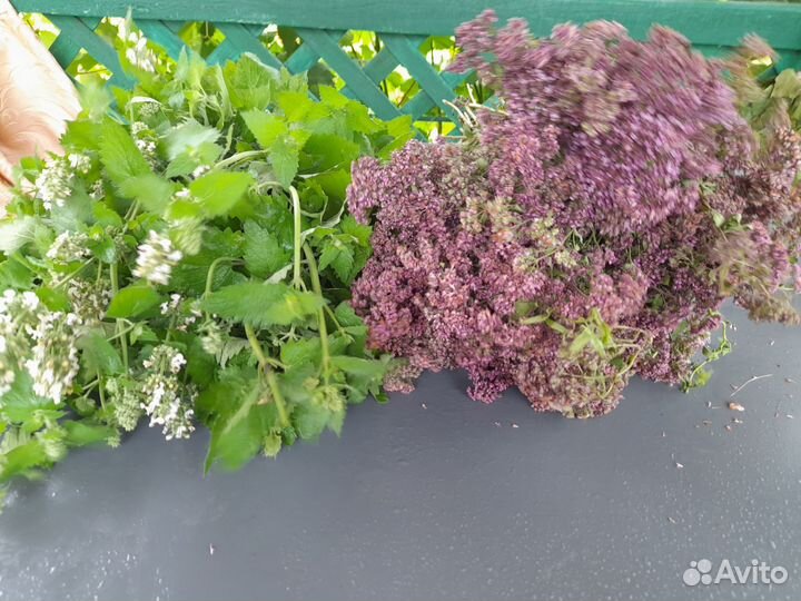 Травы душистые. Мелисса и душица (матрёшка)