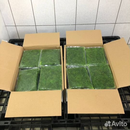 Салат из морских водорослей Чука