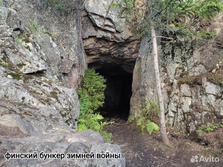 Экскурсия — Сортавала — Лешего бояться— Карелию не