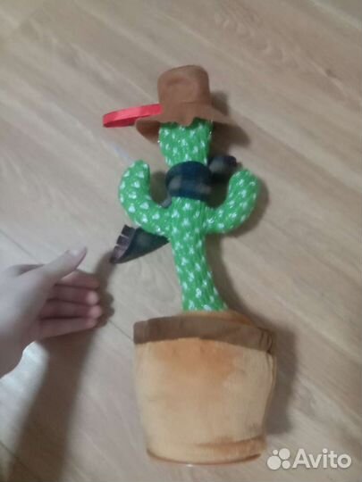 Танцующий кактус