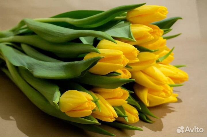 Цветы тюльпаны и букеты с доставкой
