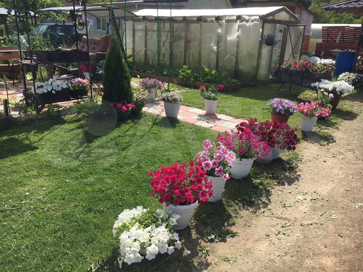 Дом 30 м² на участке 6,6 сот.