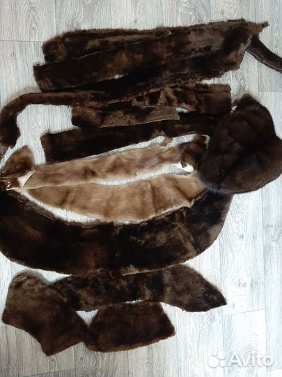 Шкурка животного