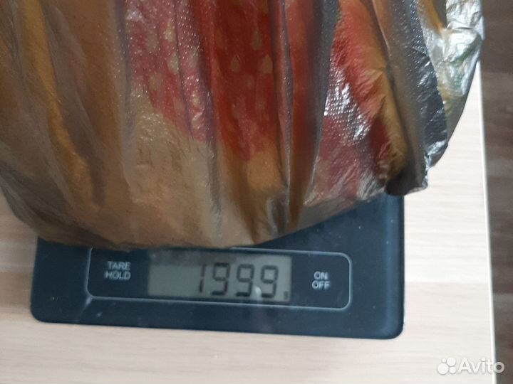 Морские ракушки раковины