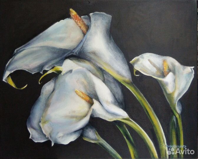Картина маслом. Цветы. Каллы