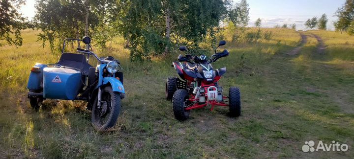Ирбис 250s