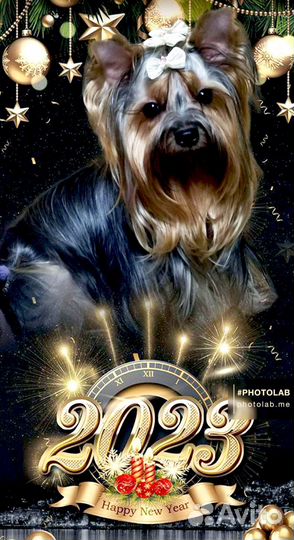 Фотопечать на бумажных носителях и холсте