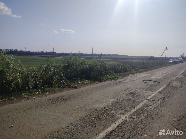Удаление деревьев любой сложности