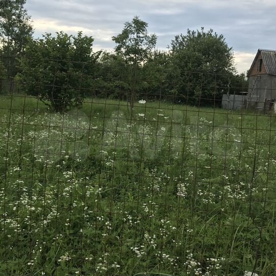 Участок 5,6 сот. (СНТ, ДНП)