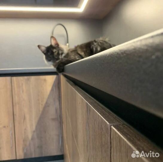 Кухня Кухонный гарнитур