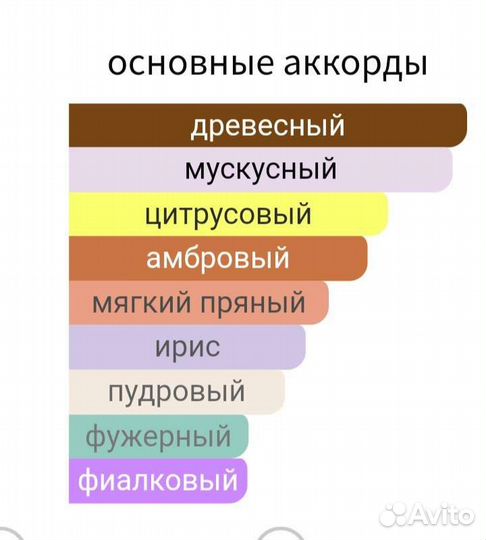 Escentric Molecules 01