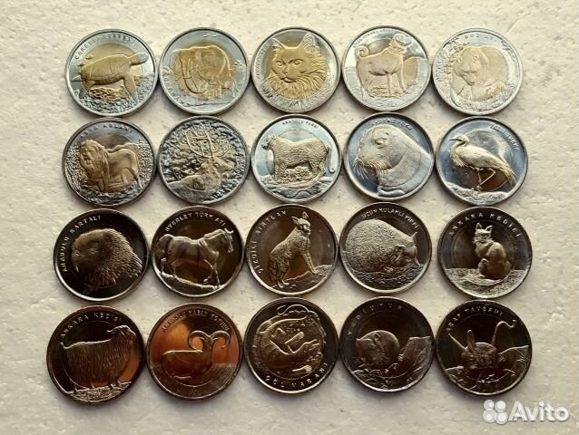 Красная книга Турции. Каракал и Каталбурун