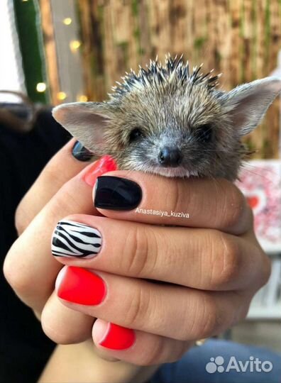 Маникюр/ Наращивание ногтей