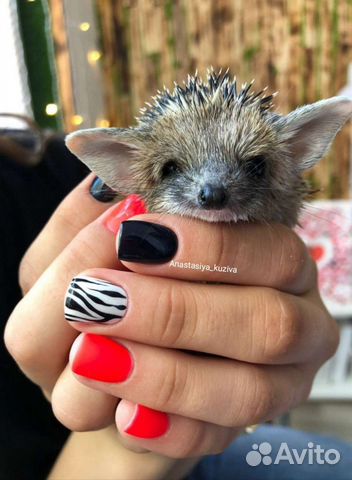 Маникюр/ Наращивание ногтей