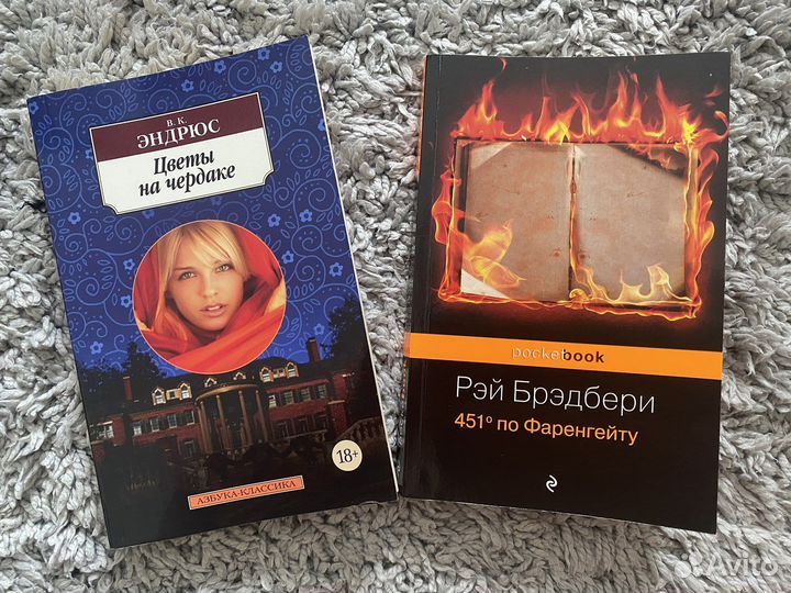 Книги (Рэй Брэдбери )