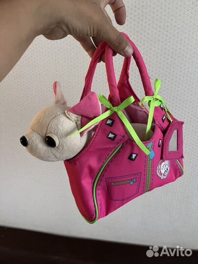 Чичилав собачка