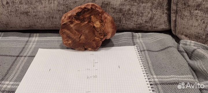 Сувель берёзы