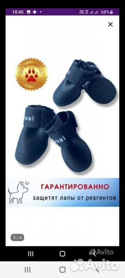 Обувь для собак