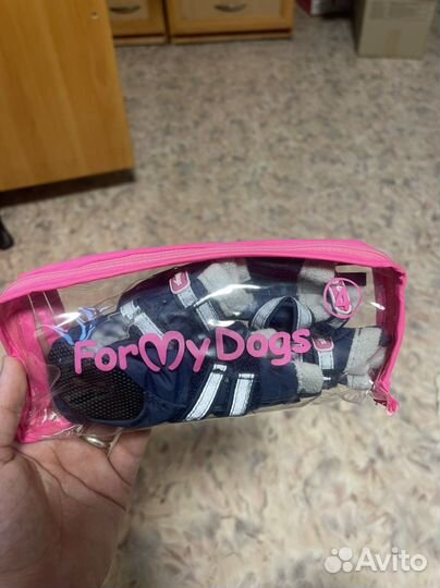 Обувь для маленькой собачки